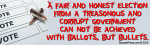 Ballots and Bullets