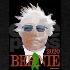 Bernie 2020