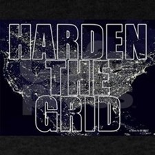 Harden the Grid