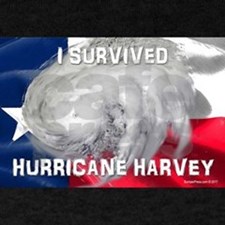 Huricane Harvey