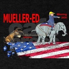 Mueller-ed