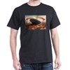 Roswell Crash Landing T-Shirt