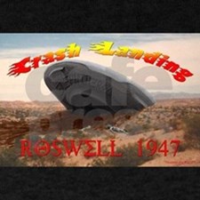Roswell Crash Landing
