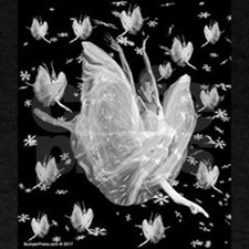 Snowflakes Ballet