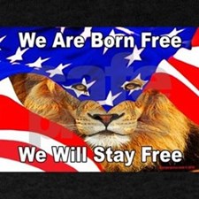 State of the Lion