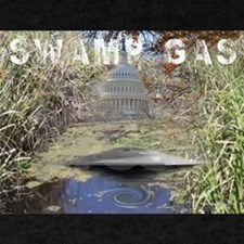 Swamp Gas