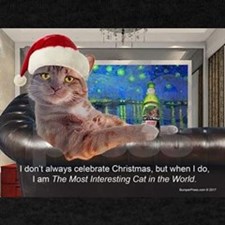 The Most Interesting Cat Christmas