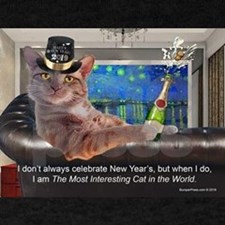 The Most Interesting Cat New Year&#39;s