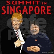 Sigapore Summit