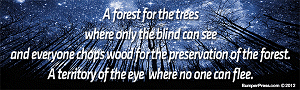 A Forest A Forest